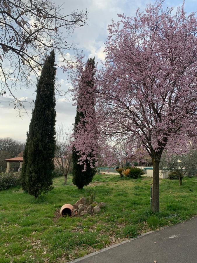 Oltre La Siepe Apartment Nepi Exteriér fotografie