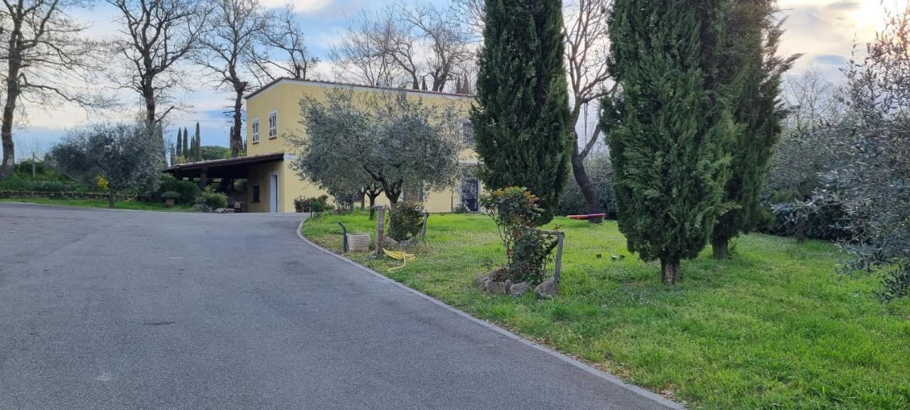 Oltre La Siepe Apartment Nepi Exteriér fotografie