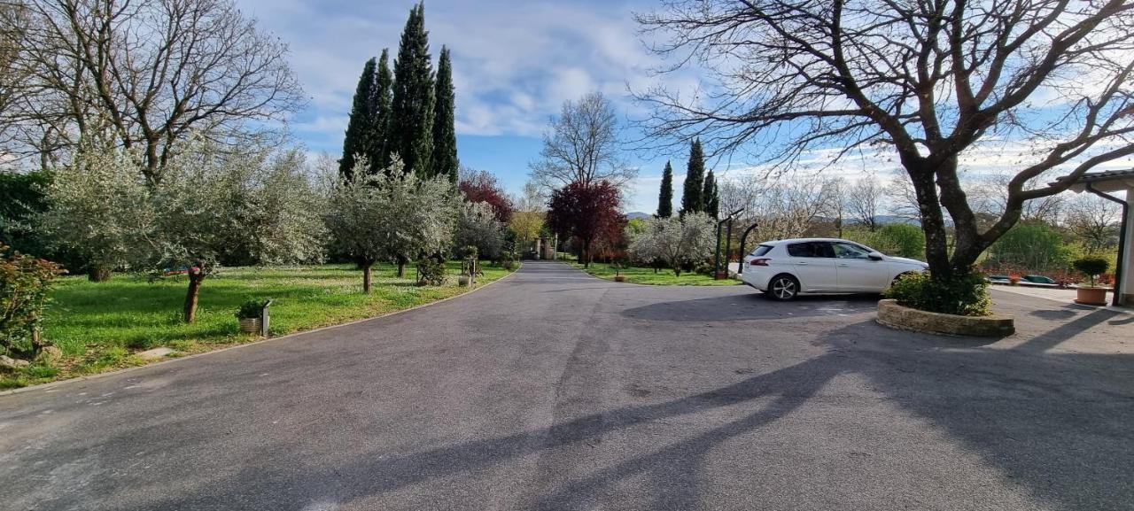 Oltre La Siepe Apartment Nepi Exteriér fotografie