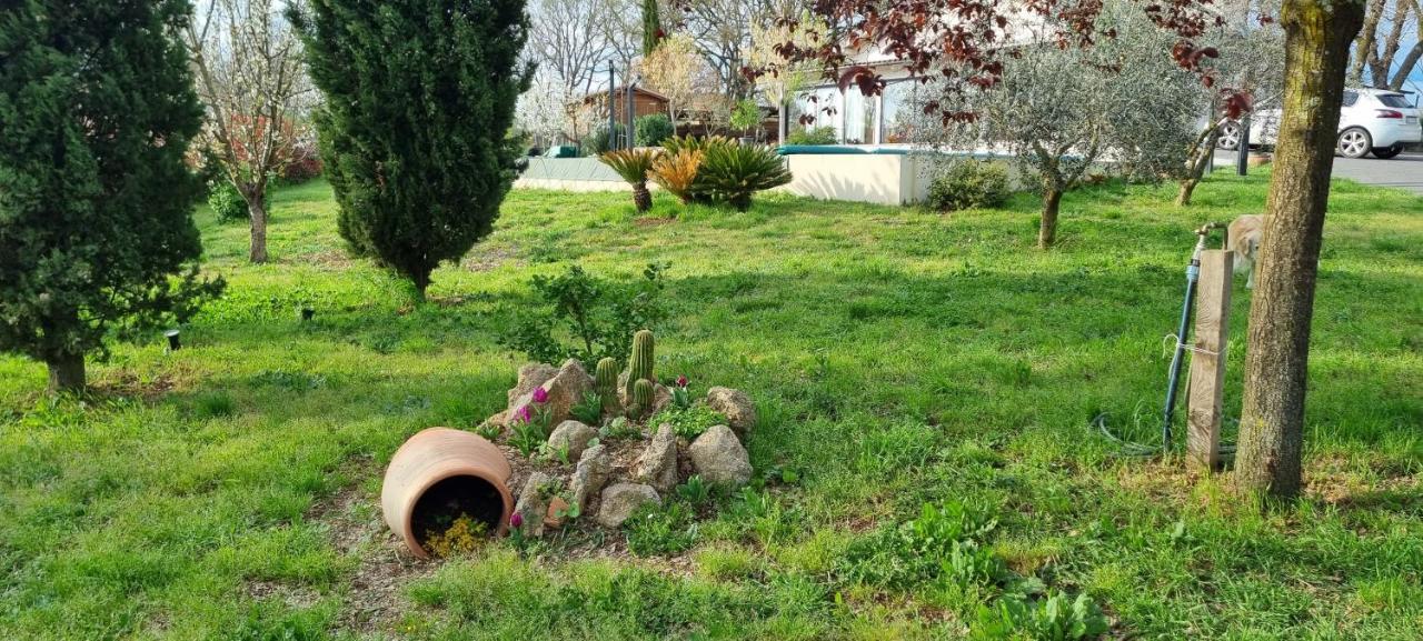 Oltre La Siepe Apartment Nepi Exteriér fotografie